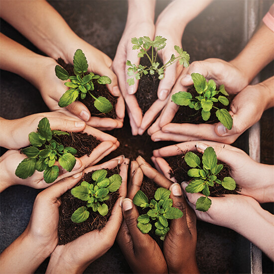 Environmental Policy